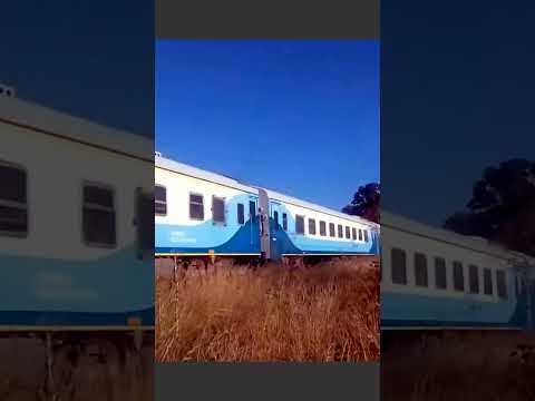 Castelli y Chascomus  #argentina #trenesargentinos #train #buenosaires #castelli #chascomus