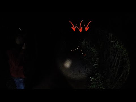 A Estrada Amaldiçoada ☠️