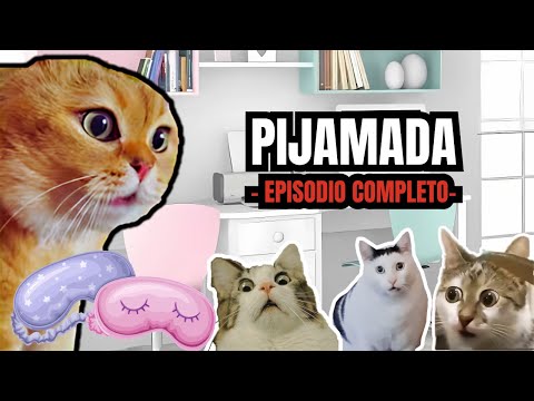 PIJAMADA, episodio completo (meme de gatos)
