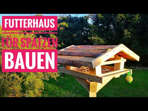 Vogel Futter Automat Novyj Trend Smotret Onlajn Na Sajte