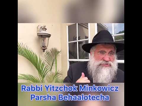 Rabbi Minkowicz Weekly Torah Lesson Parsha Behaalotecha 5780