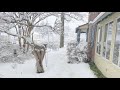 Wintry Feeling