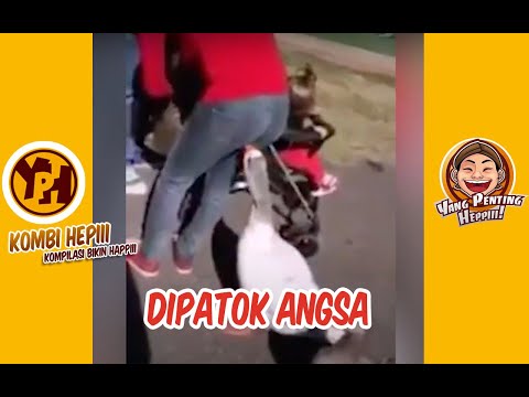 kombi-hepiii-dipatok-angsa