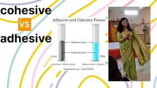 cohesive and adhesive force | difference between cohesive and adhesive force | intermolecular force