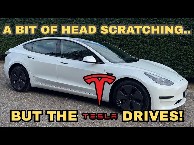The Cheapest 2024 Tesla Model 3 In The World!!!