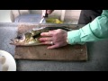 How to fillet Walleye - Walleye Cleaning
