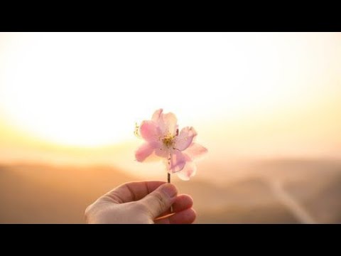 🎐이 세상, 반대편에 있더라도 | remme × Clara Mae - Half A World Away (가사/해석)