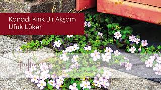 Miniaturka - Ufuk Lüker — Kanadı Kırık Bir Akşam (Metin Altıok)