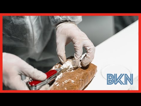 2023 COCAINE YEAR? HISTORICAL RECORD OF COCAINE PRODUCTION IN THE WORLD #news #traffic