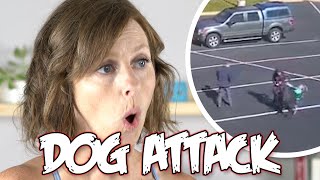 Dog Attack Caught on Camera: What To Do & How To Be Prepared