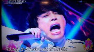 T.m.Revolution  whitebreath double-deal
