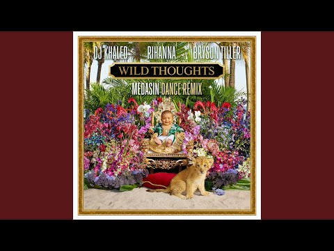 Video thumbnail for Wild Thoughts (Medasin Dance Remix)