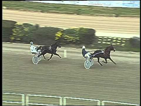 Trotto 01/12/2015 - prova di qualifica