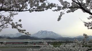 Download lagu 千本桜(黒うさP / 西本 篤編曲)フルート4重奏:松田霧生 mp3 Download lagu 千本桜(黒うさP / 西本 篤編曲)フルート4重奏:松田霧生 mp3