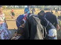 WALAGA LUKWAJA SHOW 2025