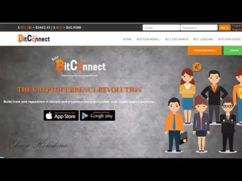 Заработок биткоинов на пассиве в Bi