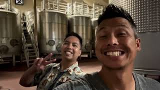 Napa Valley - Ru Vango Winery