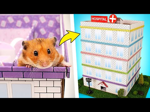DIY-Krankenhaus für Hamster 🐹 Fünf-Ebenen-Labyrinth 🏥❤️