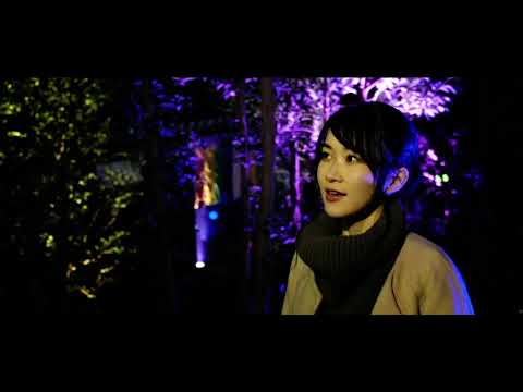 神童寺ライトアップ