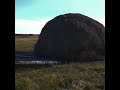 Skill In Transportating Hay Quickle