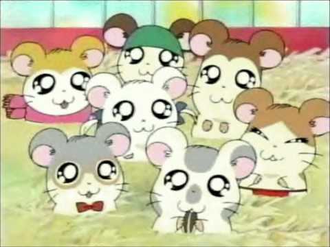 Hamtaro Japanese OP