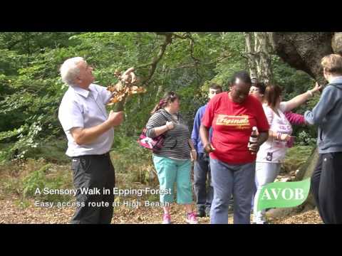 Sensory Walks 1 Epping Forest Apple Devices HD Best Quality