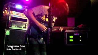Sargasso Sea (live) - Scale The Summit