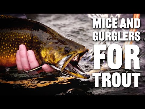 Mice & Gurgler Patterns for Trout | Tom Rosenbauer