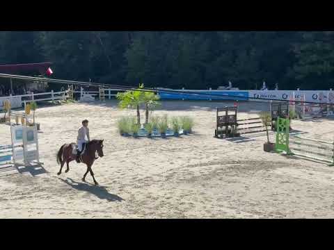 Kamil Musiał - QUINTUS Z (2021) - L100cm - Glinik Zaborowski XVII Memoriał Hubala - 21.09.2025