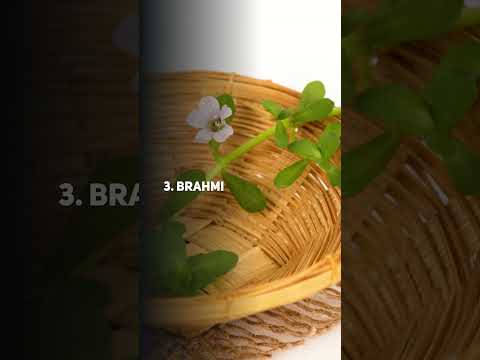 Top 5 Ayurvedic Herbs To ..