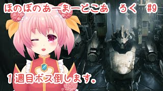 ほのぼの　あーまーどこあ　ろく　じっきょう　きゅう【アーマードコア6】【AC6】