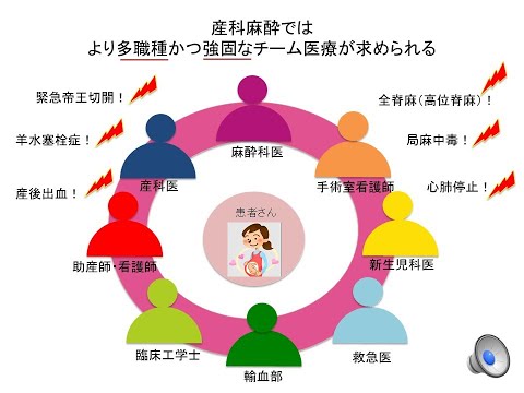 医学科 ③産科麻酔のシミュレーション教育ー多職種連携シミュレーショントレーニングのリーダーはアナタだ！_朝羽瞳_第10回産科麻酔に参加しよう