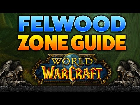 Wanted: The Demon Hunter | WoW Quest Guide