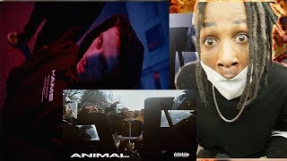 AMERICAN REACTING TO Nayt - Animal (Prod. by 3D)