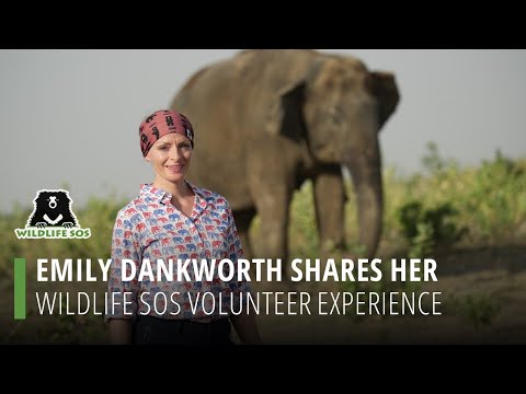 Emily Dankworth Shares Her Wildlife SOS Volunteer Experience