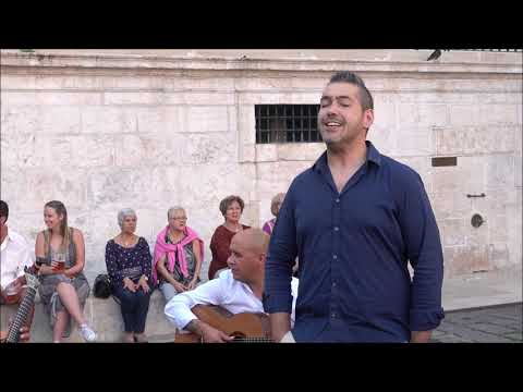 Bruno Igrejas - "Noite de Santo António" ((Norberto Araújo / Raul Ferrão )