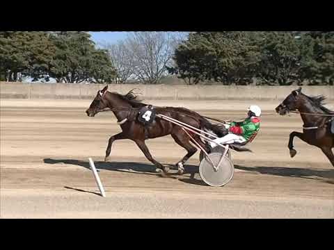 Ippodromo dei Sauri - 3' corsa del 23.3.2023