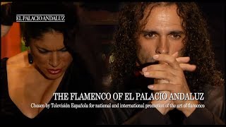 Flamenco Show | Tablao Flamenco El Palacio Andaluz