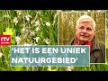 Het Drentse Landschap verwerft grond in samenwerking met particulier | ROEG! | RTV Drenthe