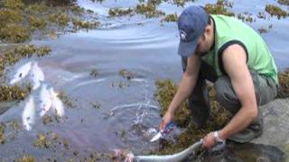 Rigolet Storytelling &amp; Digital Media Lab: My Home By The Sea.mov