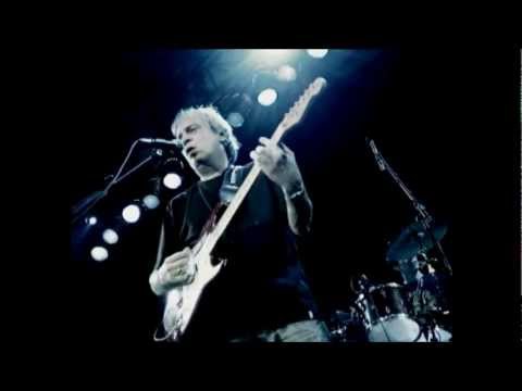 CELSO BLUES BOY (BRILHO DA NOITE)