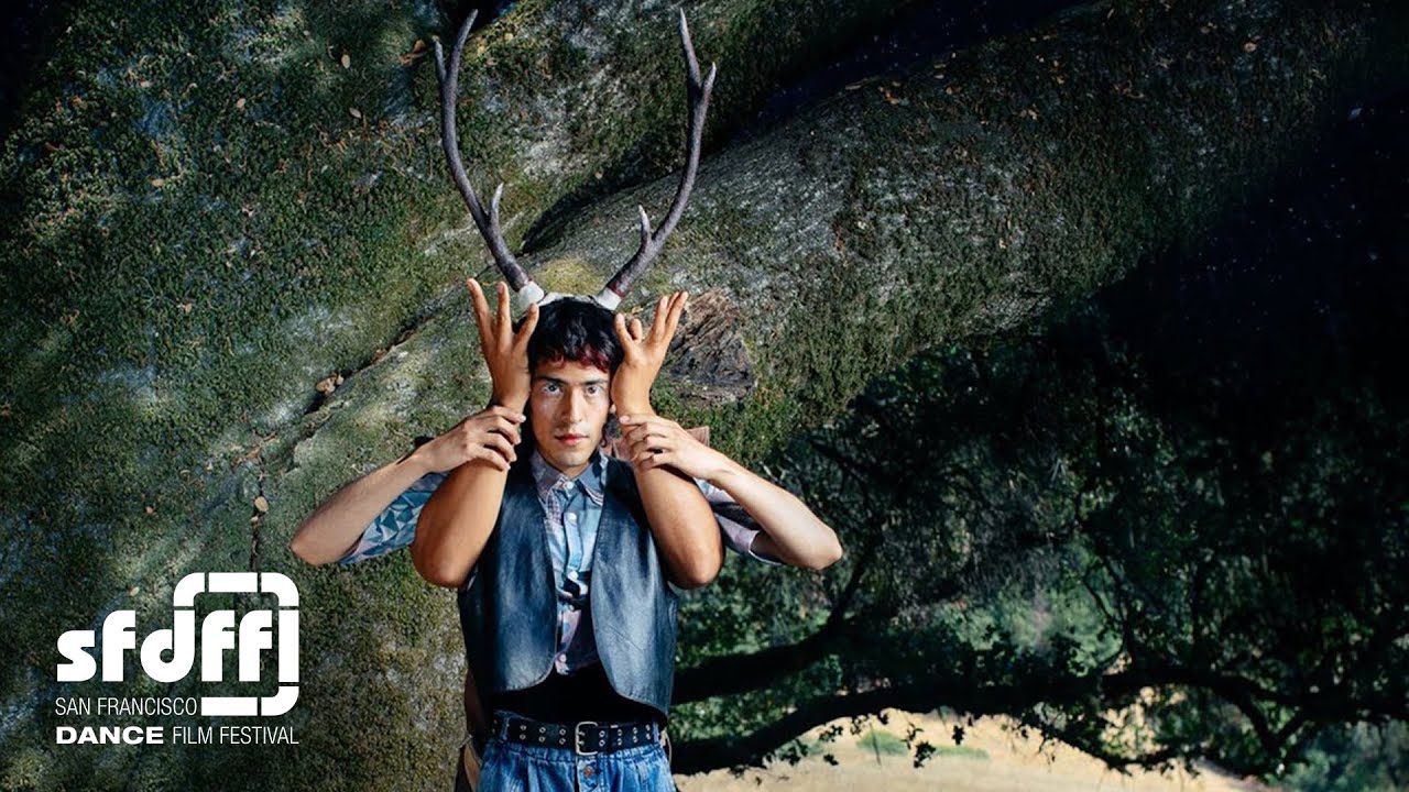 Wild (2021)