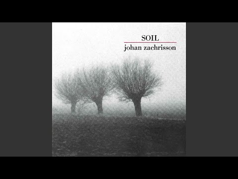 A Woodchopper's Dream