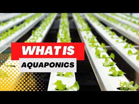 , title : 'Growing Plants without Soil: A Beginner's Guide to Aquaponics'