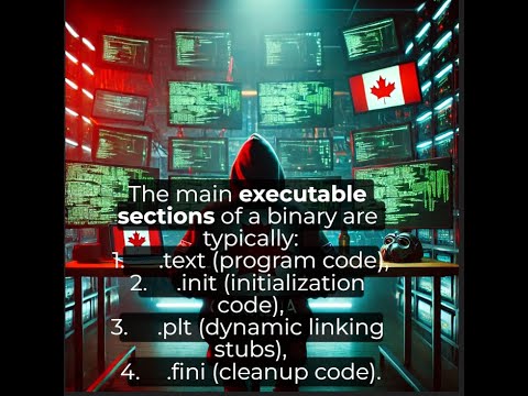 Return oriented programming exploitation/ROP gadgets
