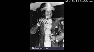 JUNIOR WELLS - I GOT A STOMACH ACHE