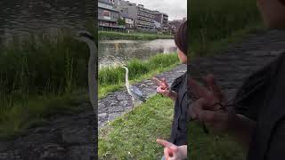 #歌ってみた 未来ちゃん?もビックリ?の巻??