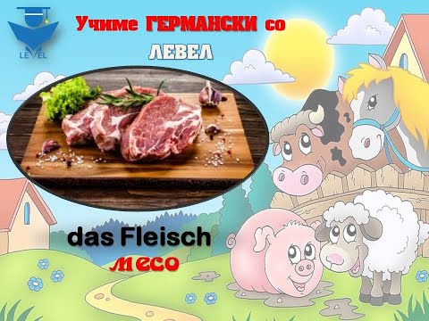 GERMANSKI za pocetnici so LEVEL - Lekcija 8 (Das Fleisch ,Die Lebensmittel)