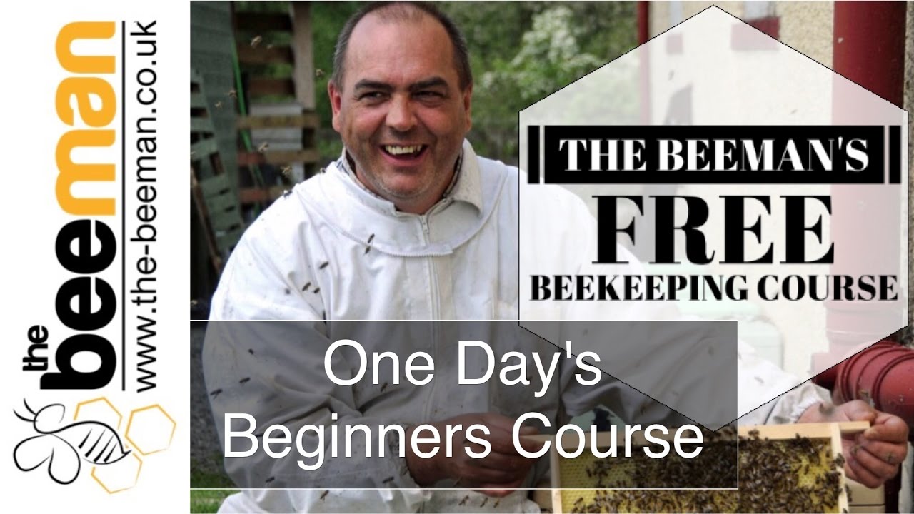Free Beginners Beekeeping Courses