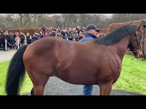 Gleich 16 auf einen Streich - Züchtertreff in Röttgen 2023